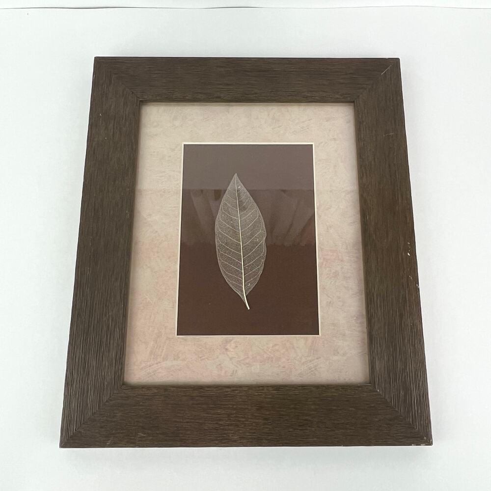 Framed and Matted Dried Shingle Oak Leaf Wall Art